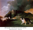 Border Collie - border_collies.jpg (32523 bytes)