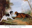 English Setter and Irish Setter - english_and_irish_setters.jpg (50119 bytes)