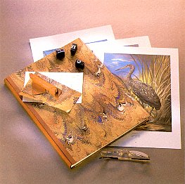 Wild Birds of America - The Art of Basil Ede.